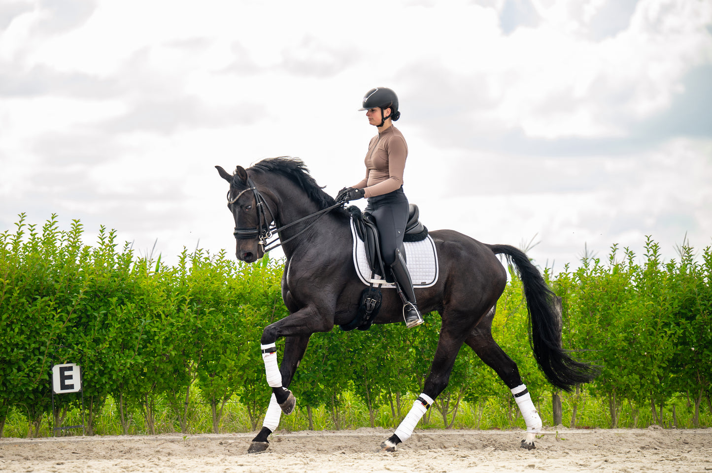 STUDIO RIDDING LEGGINGS